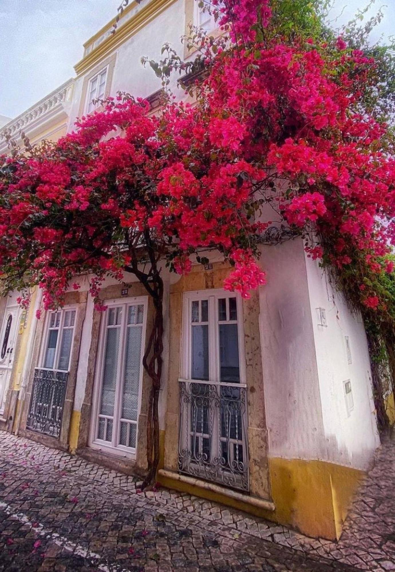 Chic Suite Sequa In Taviras Historical Centre Buitenkant foto